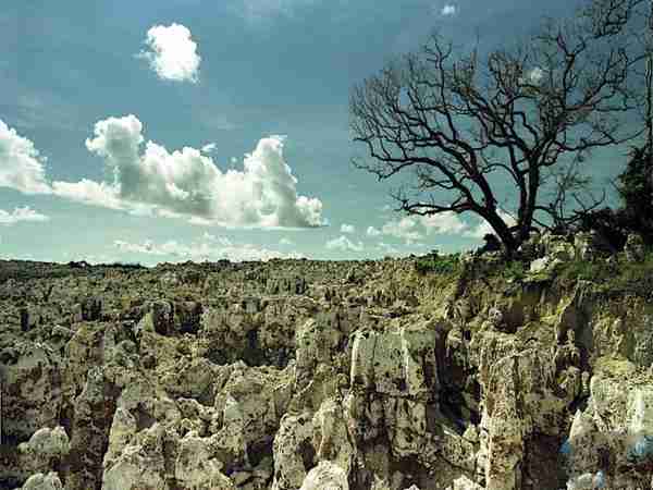 世界上最懒的国家在哪里？揭秘全球最懒的国家