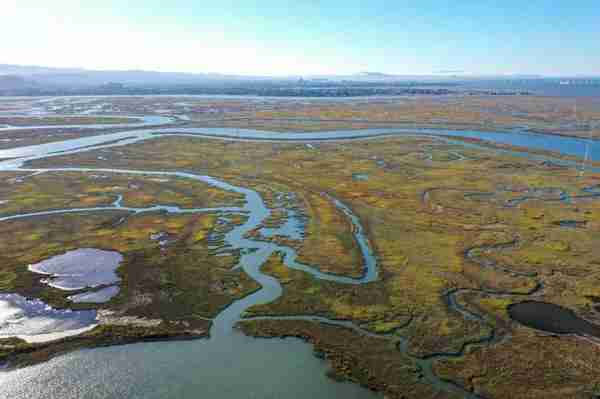 世界未解之谜4大罕见奇闻，看完让你怀疑人生。