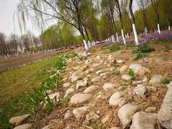 世界未解之谜4大罕见奇闻，看完让你怀疑人生。