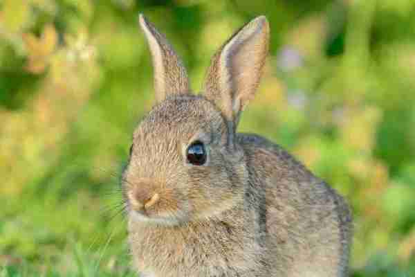 奇闻趣事大揭秘！五十年来最古怪的事件盘点