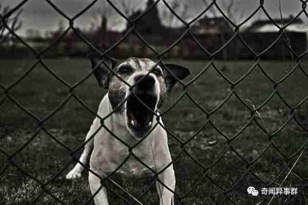 尼古拉欲打造人类史上第一架反重力飞行器，却遭到了FBI封锁