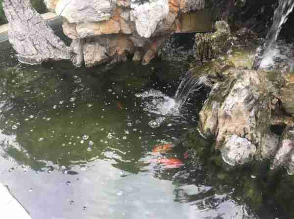 清朝人潘伦恩，记述的三则奇闻异事，让人不得不相信劫数的厉害