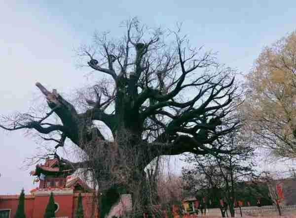 清朝人潘伦恩，记述的三则奇闻异事，让人不得不相信劫数的厉害