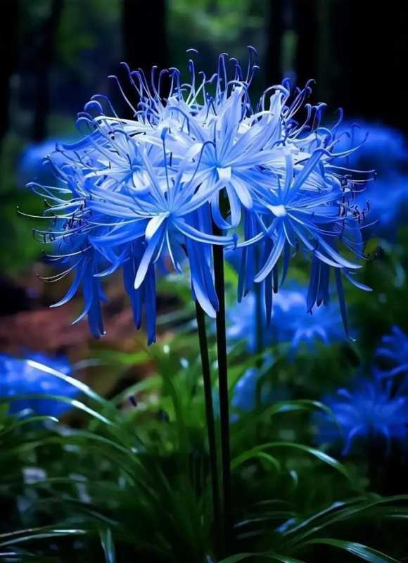 世界奇闻惊呆眼球！深度解密离奇事件！带你探秘不可思议