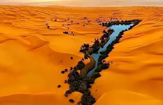 世界奇闻惊呆眼球！深度解密离奇事件！带你探秘不可思议