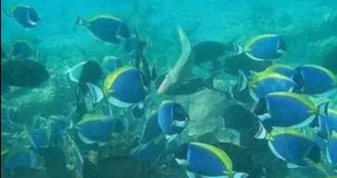 世界4大罕见奇闻，至今仍是未解之谜，看完让你怀疑人生