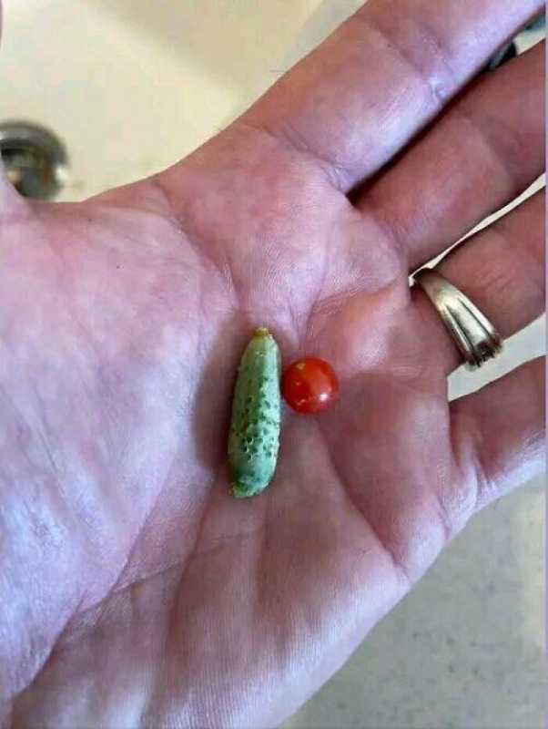 揭秘“看不见的奇观”：25件网络奇闻异事，解锁你的好奇心！