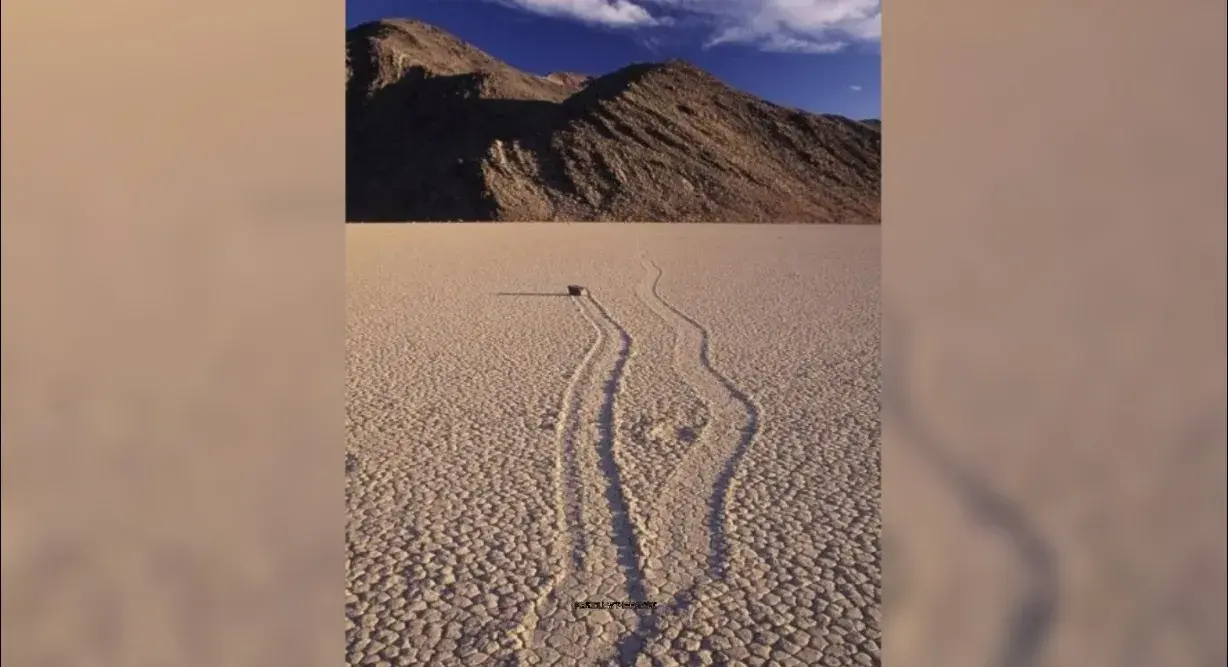 世界上十大不可思议的奇闻异事