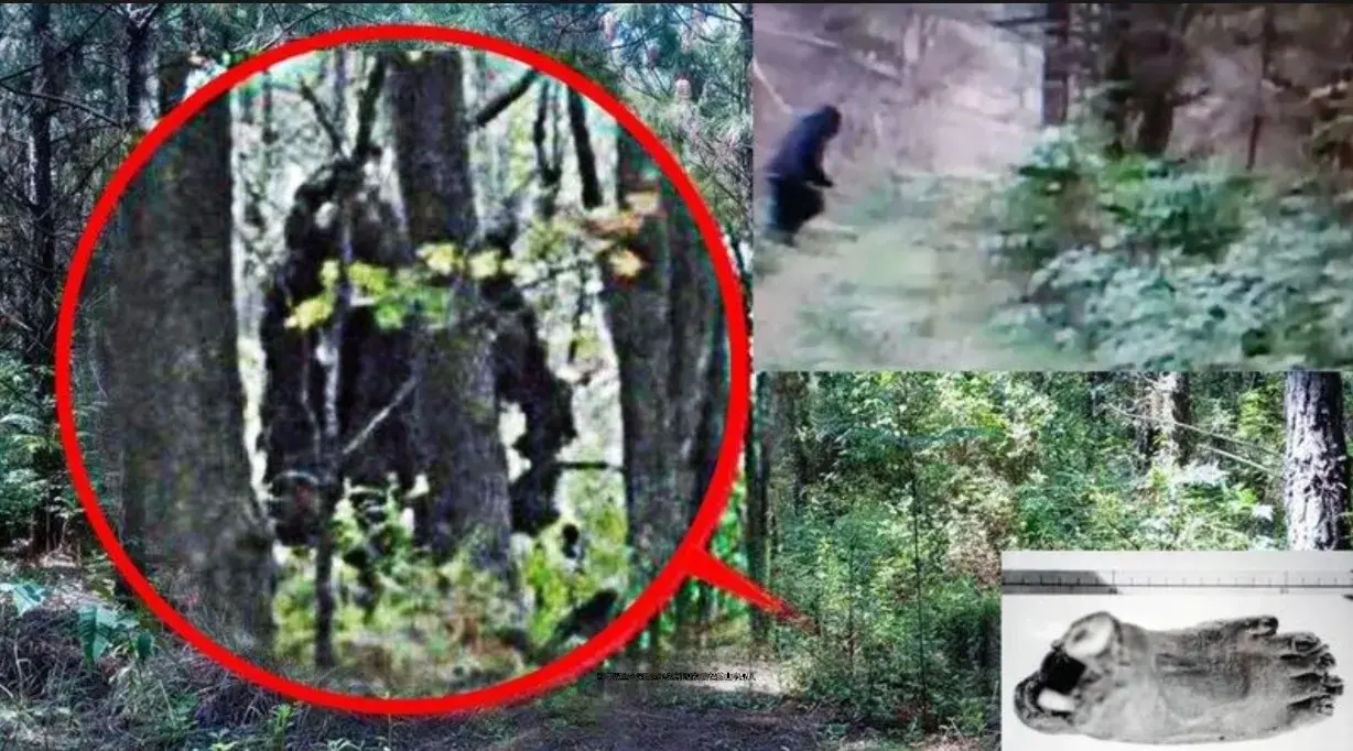 世界上十大不可思议的奇闻异事