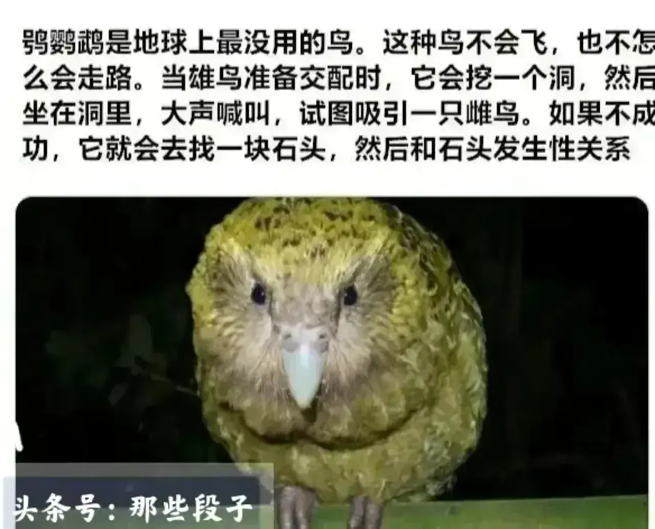 各种奇闻怪事，既长知识又让你乐开怀！