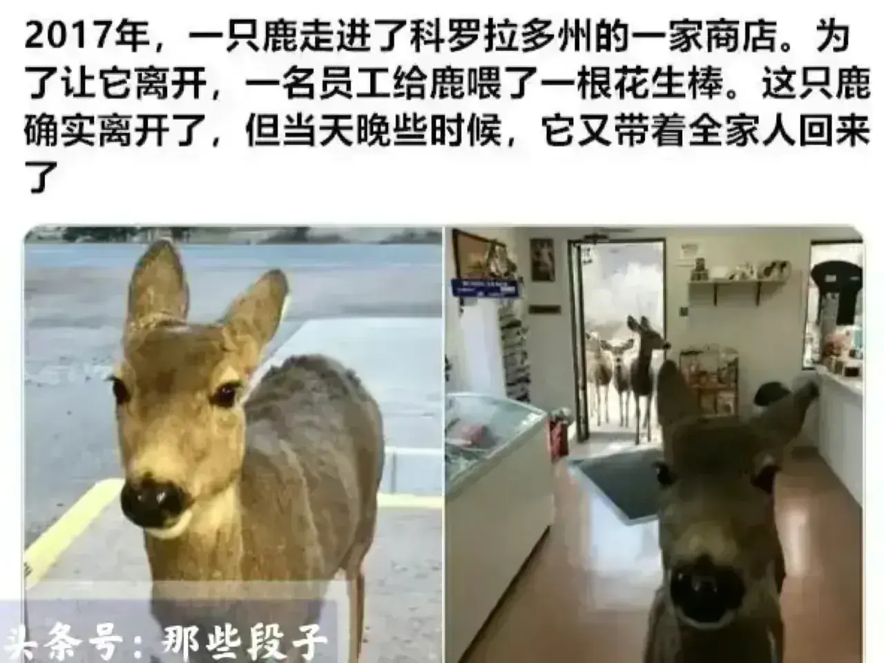 各种奇闻怪事，既长知识又让你乐开怀！