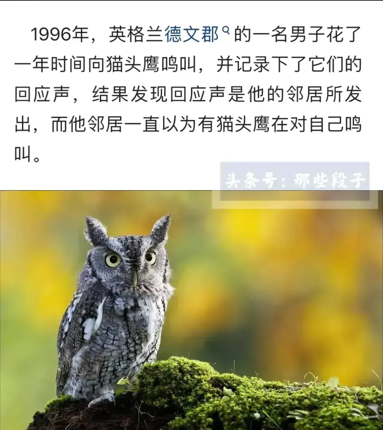 各种奇闻怪事，既长知识又让你乐开怀！