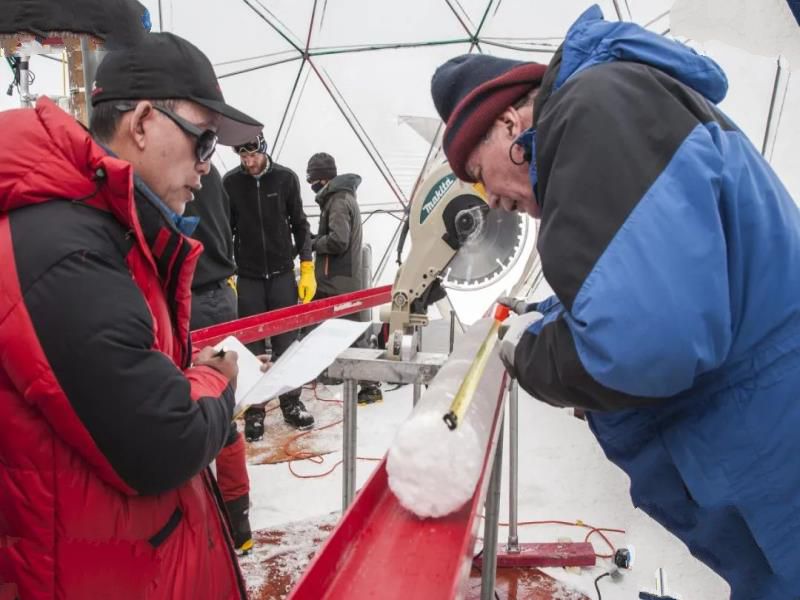 大自然的报复？地球又现一大危害，青藏高原中发现28种新病毒