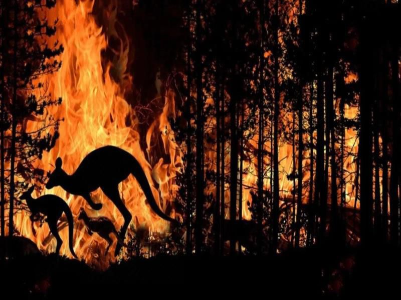 大自然的报复？地球又现一大危害，青藏高原中发现28种新病毒