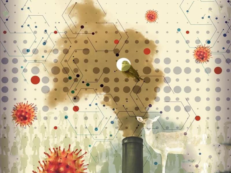 大自然的报复？地球又现一大危害，青藏高原中发现28种新病毒