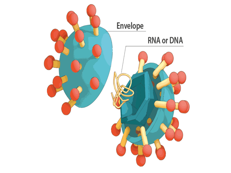 大自然的报复？地球又现一大危害，青藏高原中发现28种新病毒