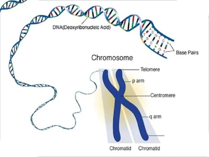 大自然的报复？地球又现一大危害，青藏高原中发现28种新病毒