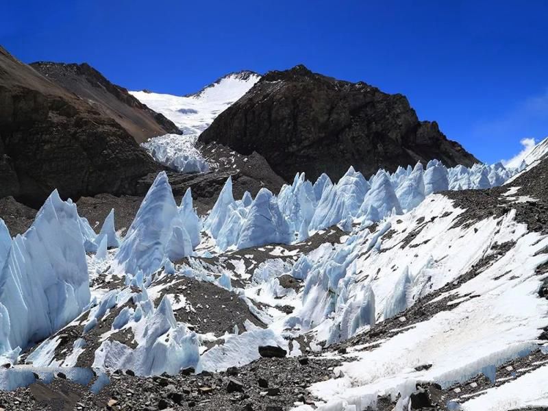大自然的报复？地球又现一大危害，青藏高原中发现28种新病毒