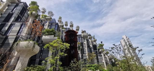 揭秘全球最令人震惊的十大奇闻异事