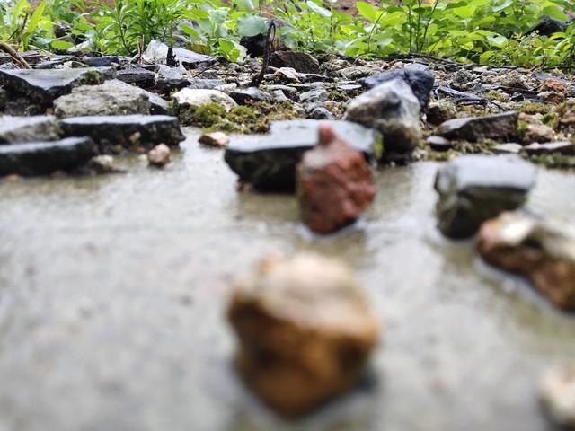 揭秘全球最令人震惊的十大奇闻异事