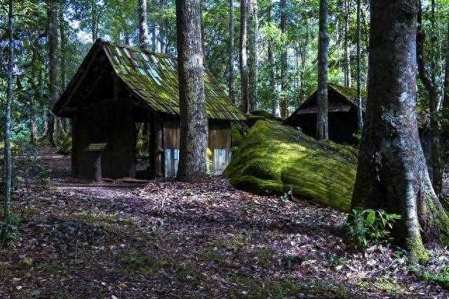 揭秘全球最令人震惊的十大奇闻异事