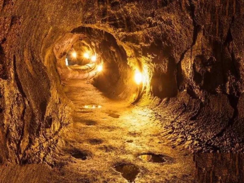 地球是碳基生命的天堂，但宇宙更适合硅基生命，硅基生命什么样？