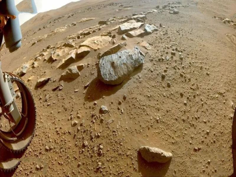 地球是碳基生命的天堂，但宇宙更适合硅基生命，硅基生命什么样？