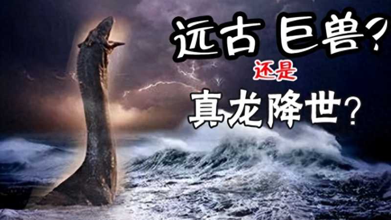 至今仍是未解之谜，世界6大罕见奇闻，不看不知道一看吓一跳