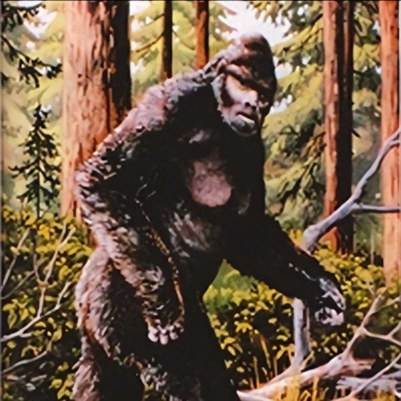 至今仍是未解之谜，世界6大罕见奇闻，不看不知道一看吓一跳