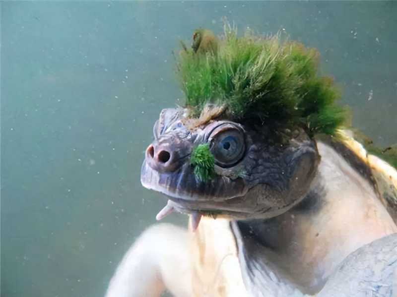 国内奇闻怪事。你都知道吗？一起来看看吧！