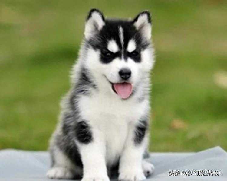 世界上的三大奇闻你听过几个？