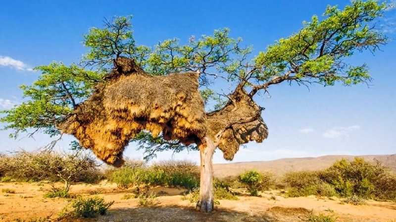 国内奇闻怪事。你都知道吗？一起来看看吧！