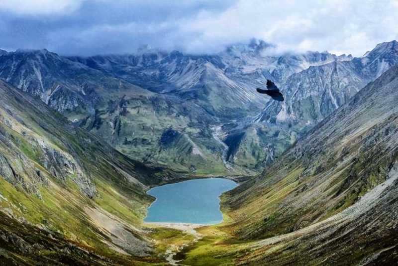 国内奇闻怪事。你都知道吗？一起来看看吧！