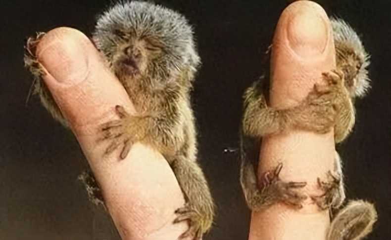 国内奇闻怪事。你都知道吗？一起来看看吧！