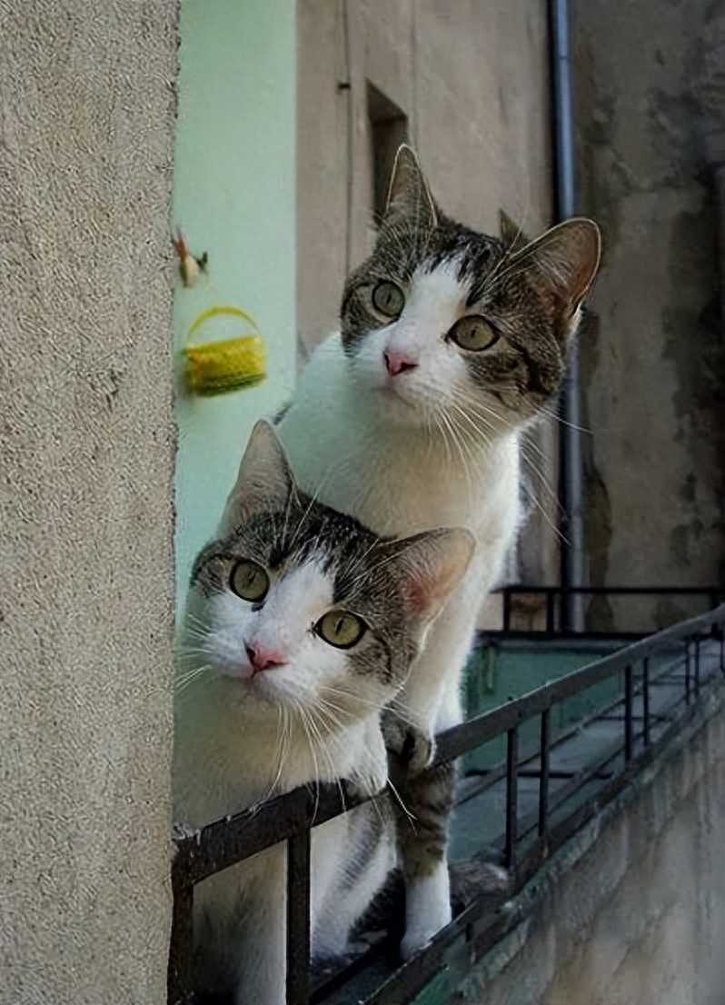 国内奇闻怪事。你都知道吗？一起来看看吧！