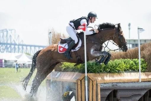 大象失去一条腿后，都可以存活下来，为什么马腿断了就必须死呢？