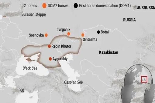 大象失去一条腿后，都可以存活下来，为什么马腿断了就必须死呢？