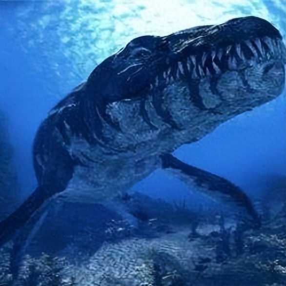 这些奇闻异事你知道不？7大难以解开的未解之谜盘点