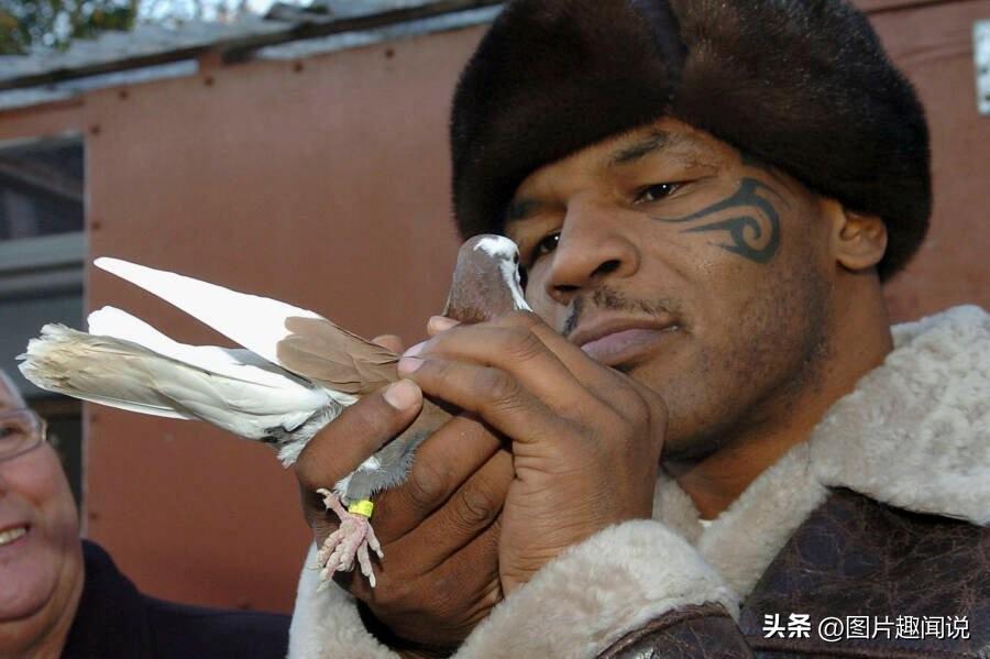 15个世界各地的奇闻异事，一个比一个惊奇，令人惊叹