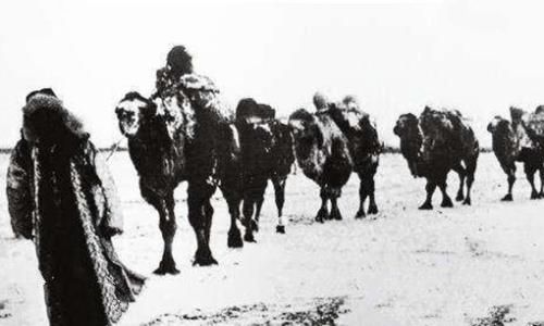 走西口是什么意思?这个西口是指的什么地方?