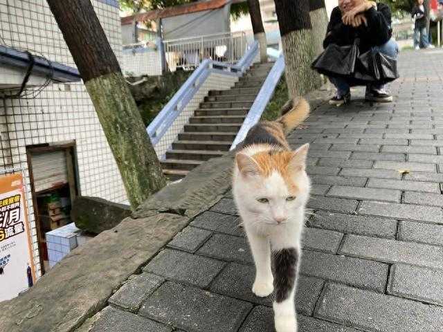 分享那些有趣的奇闻异事