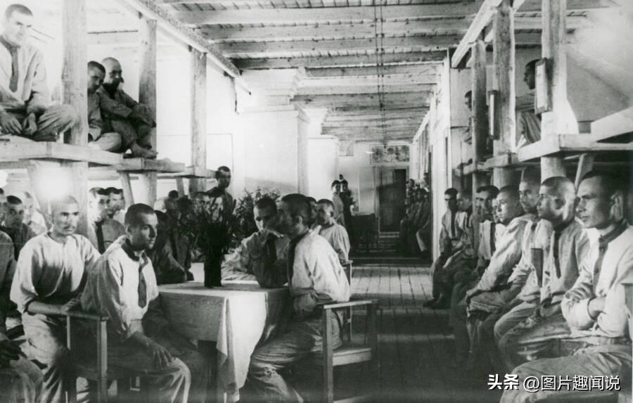 15个世界各地的奇闻异事，一个比一个惊奇，令人惊叹