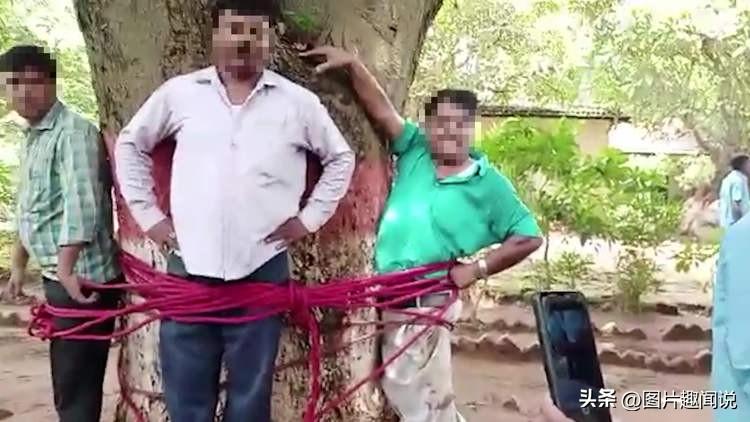 15个世界各地的奇闻异事，一个比一个惊奇，令人惊叹