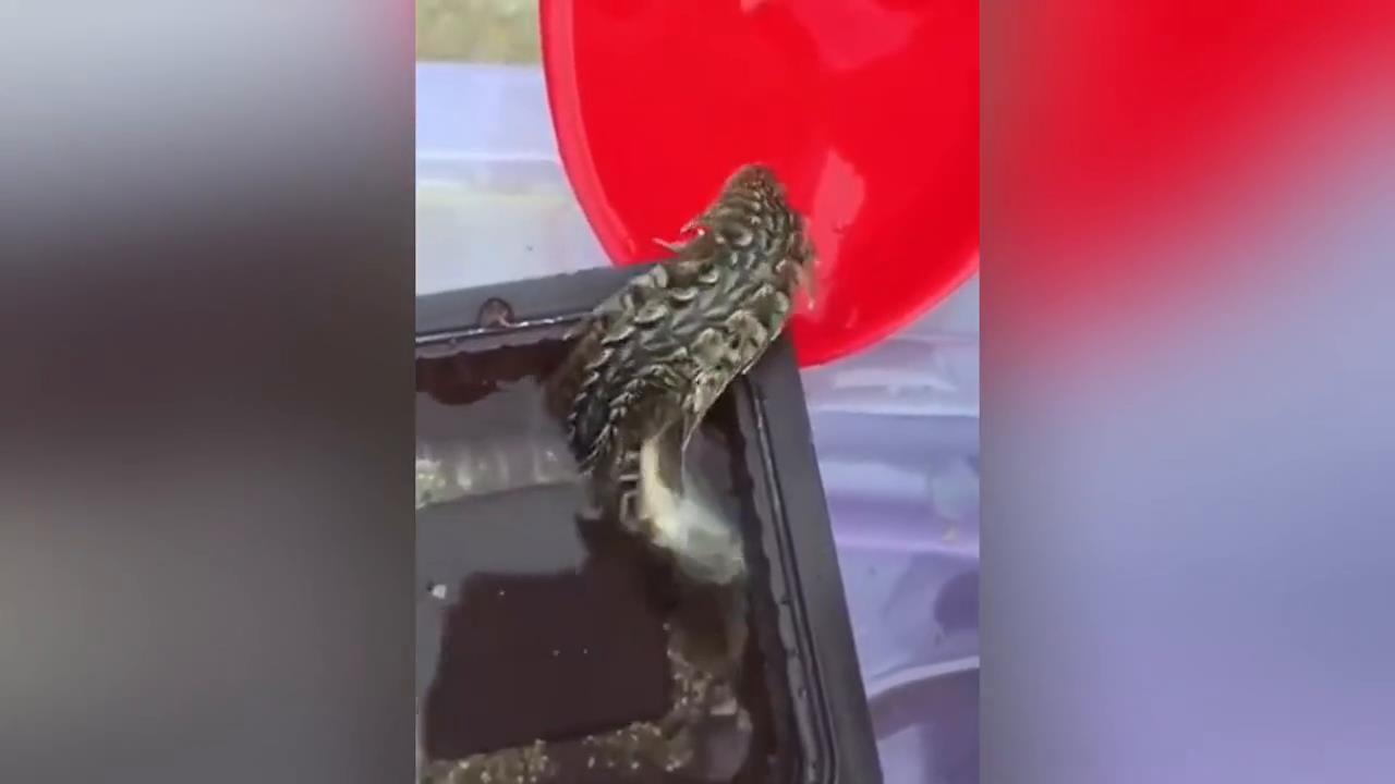 世界上的多起神秘事件被相机拍到，太离奇了？ #奇闻异事