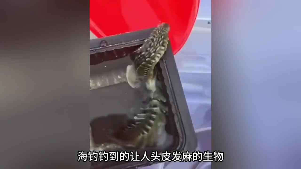 世界上的多起神秘事件被相机拍到，太离奇了？ #奇闻异事