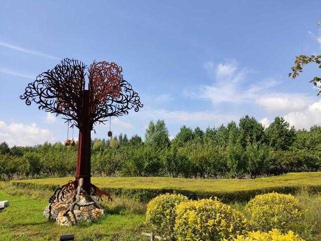 揭秘：大多数人不知道的奇闻异事！你知道几个呢？