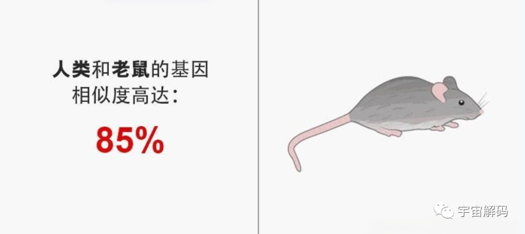 生命起源：地球上最初没有人，那第一位女人和男人是怎么诞生的？