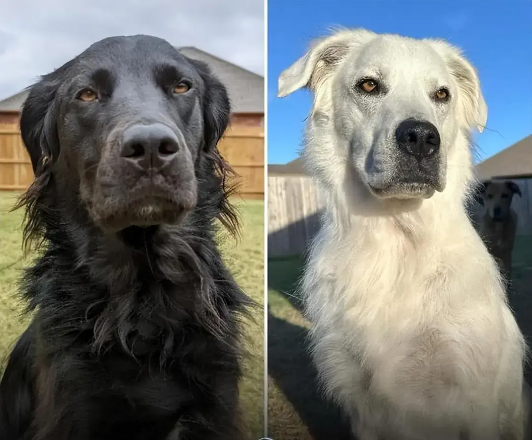 22件鲜为人知的奇闻怪事，拓宽你的视野极限！