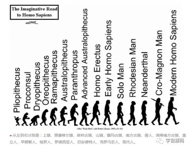 生命起源：地球上最初没有人，那第一位女人和男人是怎么诞生的？