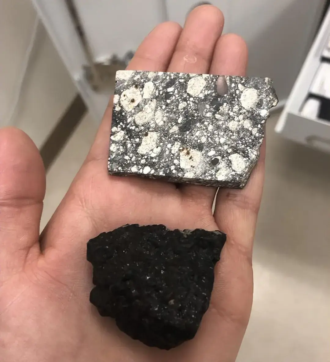 22件鲜为人知的奇闻怪事，拓宽你的视野极限！